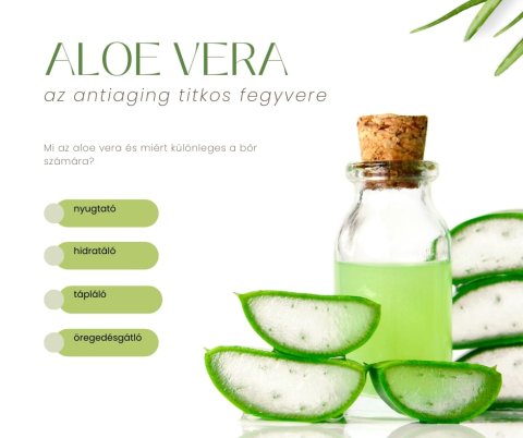 Az aloe vera hatása a bőrre