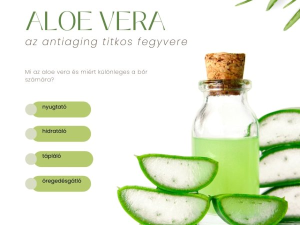 Az aloe vera hatása a bőrre