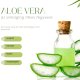 Az aloe vera hatása a bőrre